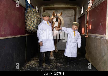 London Harness Horse Parade, South of England Centre, Ardingly West Sussex, UK Stock Photo