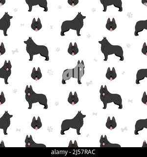 Schipperke seamless pattern. Different poses, coat colors set.  Vector illustration Stock Vector