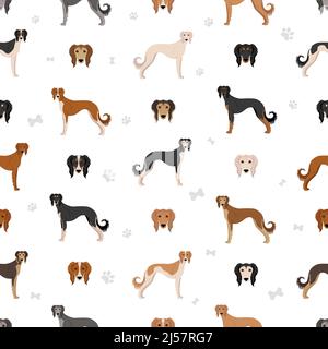 Saluki Feathered seamless pattern. Different poses, coat colors set.  Vector illustration Stock Vector