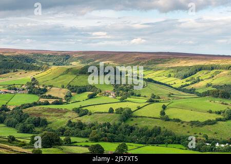 Hartoft Rigg Heather Moorland above Rosedale Abbey from Hartoft Rigg North York ...