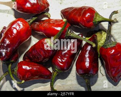 A close up shot of red chillies with green caps on a white background. Bird's eye chili Stock Photo