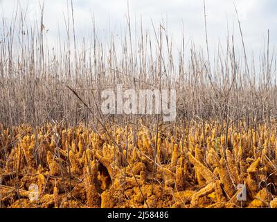 Chemical precipitation geoforms in the mining reservoir of Gossan at Riotinto, Huelva Stock Photo