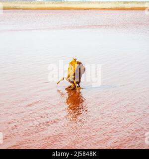 Chemical precipitation geoforms in the mining reservoir of Gossan at Riotinto, Huelva Stock Photo