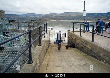 Families crabbing on the harbour wall at Barmouth, North Wales on a cloudy day Stock Photo