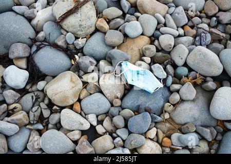 Discarded facemask on a pebble beach in North Wales Stock Photo