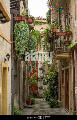 Old Town Alley, Plants, Monreale, Sicily, Italy Stock Photo