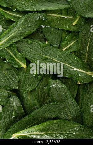 Top view macro photo green mint leaves. Stock Photo