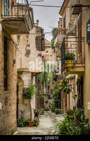 Old Town Alley, Plants, Monreale, Sicily, Italy Stock Photo