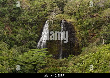 Opaekaa Falls in the Wailua River State Park on the island of Kauai in Hawaii, United States.  The falls cascade down 151 vertical feet over a volcani Stock Photo