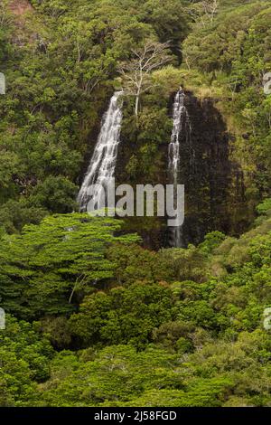 Opaekaa Falls in the Wailua River State Park on the island of Kauai in Hawaii, United States.  The falls cascade down 151 vertical feet over a volcani Stock Photo