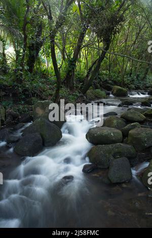 Limahuli Stream flows down from the mountains above Hanalei and into the Pacific Ocean on the north shore of the island of Kauai, Hawaii.  A slow shut Stock Photo