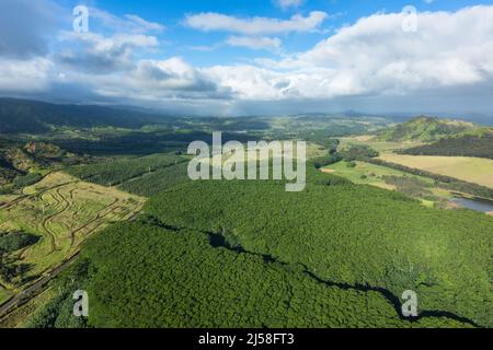 An aerial view of the Knudsen Gap with Omoe Peak at right.  In the foreground is a forest of Moluccan Albizia, Falcataria moluccana. It is a species o Stock Photo