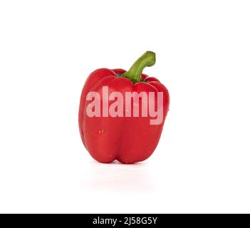 Pod of red sweet pepper with drops of water. Copy space, white background. Stock Photo