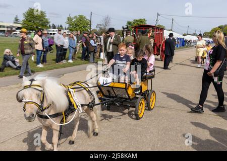 London Harness Horse Parade, South of England Centre, Ardingly West Sussex, UK Stock Photo