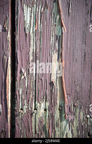 Fading purple paint peeling off the cedar planks of an old barn near Almont, Michigan USA. Stock Photo