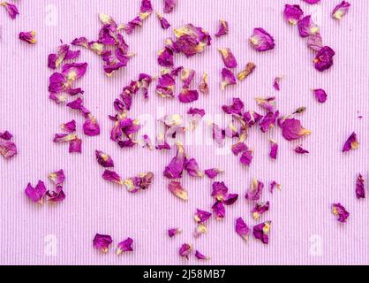 Dried Organic Rose Petals on pink background Stock Photo