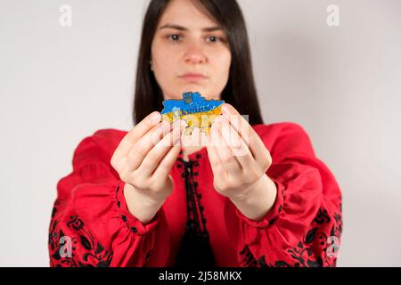 A Ukrainian woman in a red embroidered shirt holds a map of Ukraine in her hands on a white background. Stock Photo