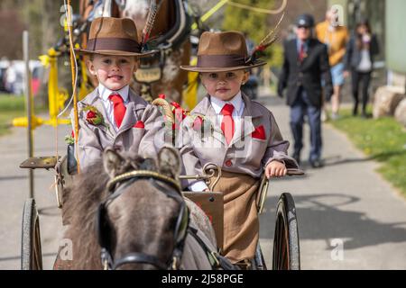 London Harness Horse Parade, South of England Centre, Ardingly West Sussex, UK Stock Photo