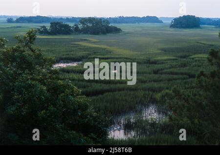 View of a salt marsh on Kiawah Island, South Carolina, at dusk. Stock Photo