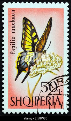 ALBANIA - CIRCA 1966: A stamp printed in Albania from the 'Butterflies and Dragonflies' issue shows Swallowtail (Papilio machaon) butterfly Stock Photo