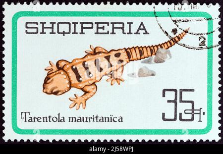 ALBANIA - CIRCA 1966: A stamp printed in Albania from the 'Reptiles' issue shows Salamander (Tarentola mauritanica), circa 1966. Stock Photo