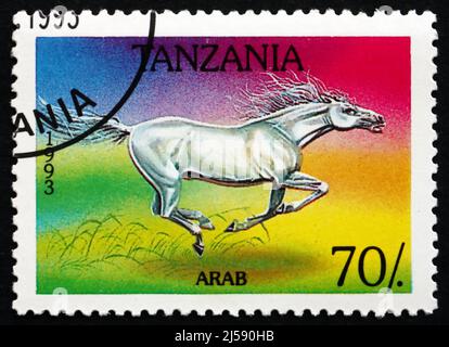 TANZANIA - CIRCA 1993: a stamp printed in Tanzania shows Arab Horse, circa 1993 Stock Photo