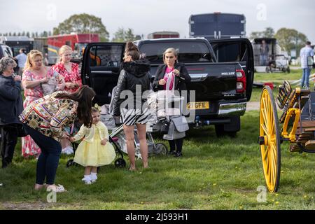 London Harness Horse Parade, South of England Centre, Ardingly West Sussex, UK Stock Photo