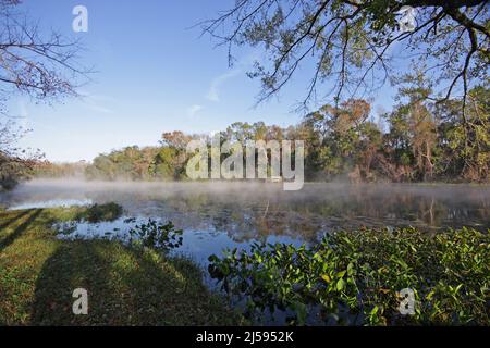 Landscape at Alexander Springs in the Ocala National Forest, Florida Stock Photo