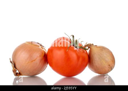 One ripe tomato and two bulbs, macro, isolated on a white background. Stock Photo