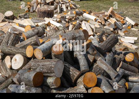 Rural wood storage of sawed tree trunks and a stack of firewood in a garden in sunny winter. Stock Photo
