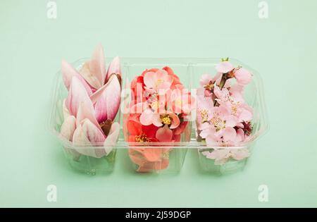 Pink and red flowers in plastic box on pastel green background. Nature against plastic concept. Stock Photo