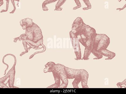 Capuchin pattern seamless background texture repeat wallpaper geometric ...
