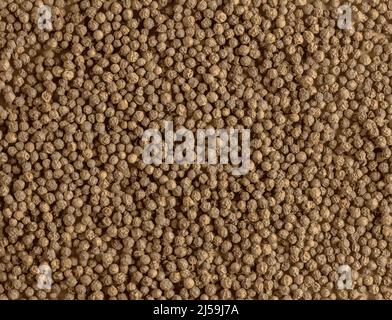 Black peppercorns. Aromatic spice for food. Realistic illustration of a background of dried black pepper seeds on a wooden kitchen board with a measur Stock Vector