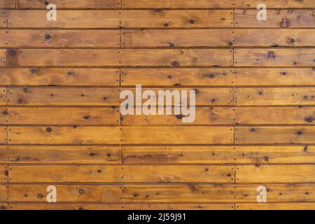 Natural wood paneling with knots and nails in a honey brown color Stock Photo