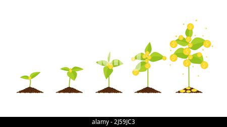 vector flat design growing money tree step by step concept business saving invesment Eps 10 Stock Vector