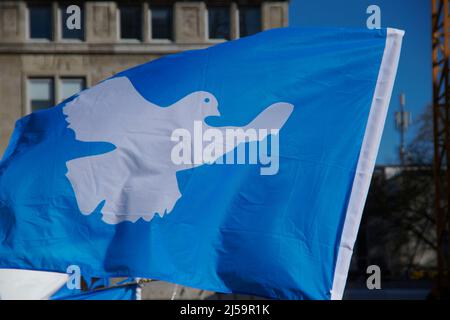 Das Symbol der Friedensbewegung: weisse Taube auf blauem Grund Stock Photo  - Alamy