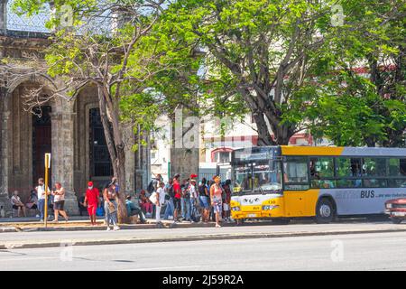 Group of people lining up or waiting in line to get on a public transportation bus. Stock Photo