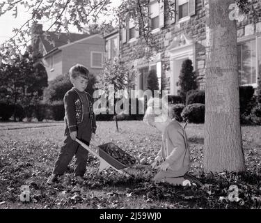 1960s LITTLE BOY AND GIRL BROTHER AND SISTER PLAYING IN FRONT YARD GATHERING UP THE AUTUMN LEAVES WITH TOY WHEEL BARROW - j11949 HAR001 HARS 1 JUVENILE YARD TEAMWORK LIFESTYLE FEMALES HOUSES BROTHERS HEALTHINESS HOME LIFE NATURE COPY SPACE FULL-LENGTH PHYSICAL FITNESS PERSONS RESIDENTIAL RAKING MALES BUILDINGS SIBLINGS SISTERS B&W GATHERING GOALS PERFORMING ARTS WIDE ANGLE HAPPINESS CHORE FALLEN STRENGTH AND REMOVING RECREATION FALL SEASON PRIDE BARROW IN THE UP HOMES SIBLING CONCEPTUAL RESIDENCE STYLISH UN WHEEL BARROW COOPERATION GROWTH JUVENILES RELAXATION TASK TOGETHERNESS AUTUMNAL Stock Photo