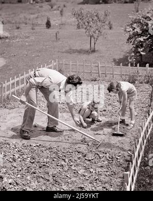 1950s BOY SON AND GIRL DAUGHTER HELPING MAN FATHER PLANTING GARDEN IN BACKYARD - j4874 HAR001 HARS OLD FASHION SISTER 1 JUVENILE TEAMWORK SONS SEEDS FAMILIES LIFESTYLE SATISFACTION FEMALES BROTHERS RAKE HEALTHINESS HOME LIFE COPY SPACE FULL-LENGTH HALF-LENGTH DAUGHTERS PERSONS INSPIRATION MALES SIBLINGS CONFIDENCE SISTERS FATHERS AGRICULTURE B&W GOALS HAPPINESS HIGH ANGLE ADVENTURE LEISURE AND DADS KNOWLEDGE PRIDE OPPORTUNITY SIBLING GARDENS HOE COOPERATION GROWTH JUVENILES MID-ADULT MID-ADULT MAN SPRINGTIME TOGETHERNESS BLACK AND WHITE CAUCASIAN ETHNICITY HAR001 OLD FASHIONED Stock Photo