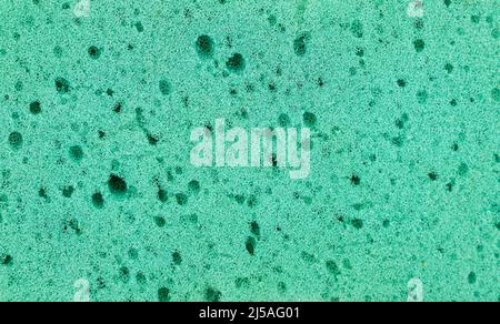 Green sponge detailed texture, sponge texture background. High quality photo Stock Photo