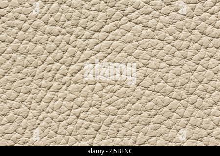Light beige leather texture with uneven surface. Stock Photo