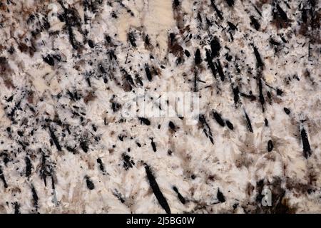 Stylish Alaska white granite texture in modern classic colors. Stock Photo