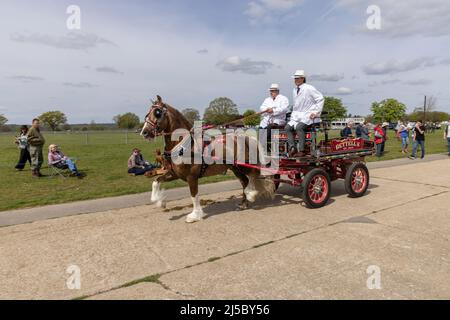 London Harness Horse Parade, South of England Centre, Ardingly West Sussex, UK Stock Photo