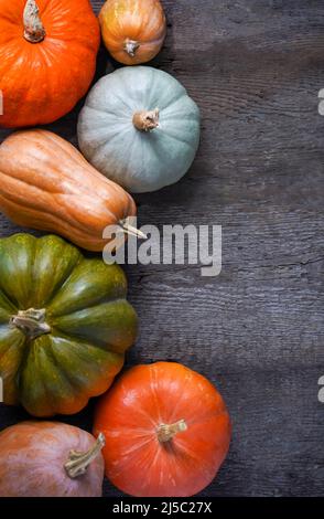 Set of different pumpkins on old wooden background. Different varieties. Orange, green and gray pumpkin. Autumn harvest. Halloween and Thanksgiving food. Stock Photo
