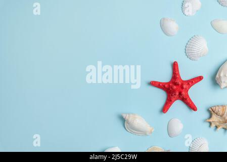 Starfish and shells on blue surface. Top view, flat lay summer background Stock Photo