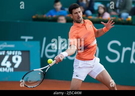 Belgrade, Serbia, 20th April 2022. Novak Djokovic of Serbia returns against Laslo Djere of Serbia during the day three of Serbia Open ATP 250 Tournament at Novak Tennis Centre in Belgrade, Serbia. April 20, 2022. Credit: Nikola Krstic/Alamy Stock Photo