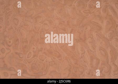 Radica Texture Radica Exotic 4 wood panel texture pattern Stock Photo - Alamy