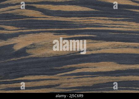 Texture of  Exotic Black and Brown Ebony Makassar Wood veneer Stock Photo