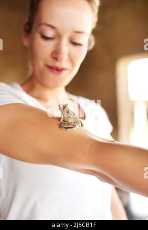 Shot of a tiny frog sitting on a womans arm Stock Photo