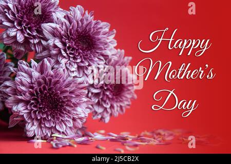 Design concept of Happy Mother's Day celebration - Mother's Day wishes with flower bouquet on red background. Stock Photo